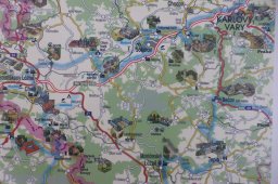 Erdschweinessen2016 (11)